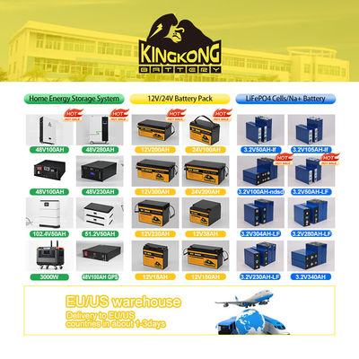 BT 기능 BS 16S 51.2V 100A 200A 스마트 48V BMS Lifepo4 배터리와 Rs485 캔 포트
