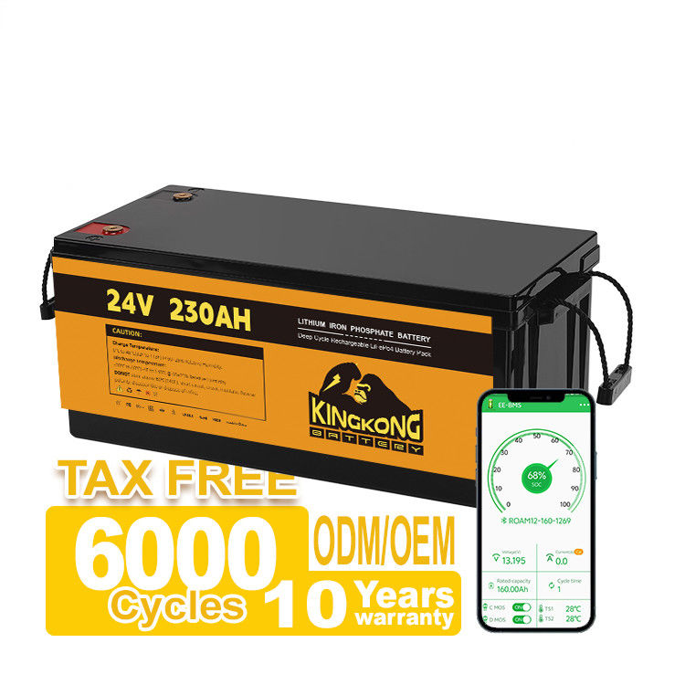 OEM 24V 100AH 200AH 230AH 12V 리온 배터리 팩 태양 시스템 RV 전기 오토바이 보트