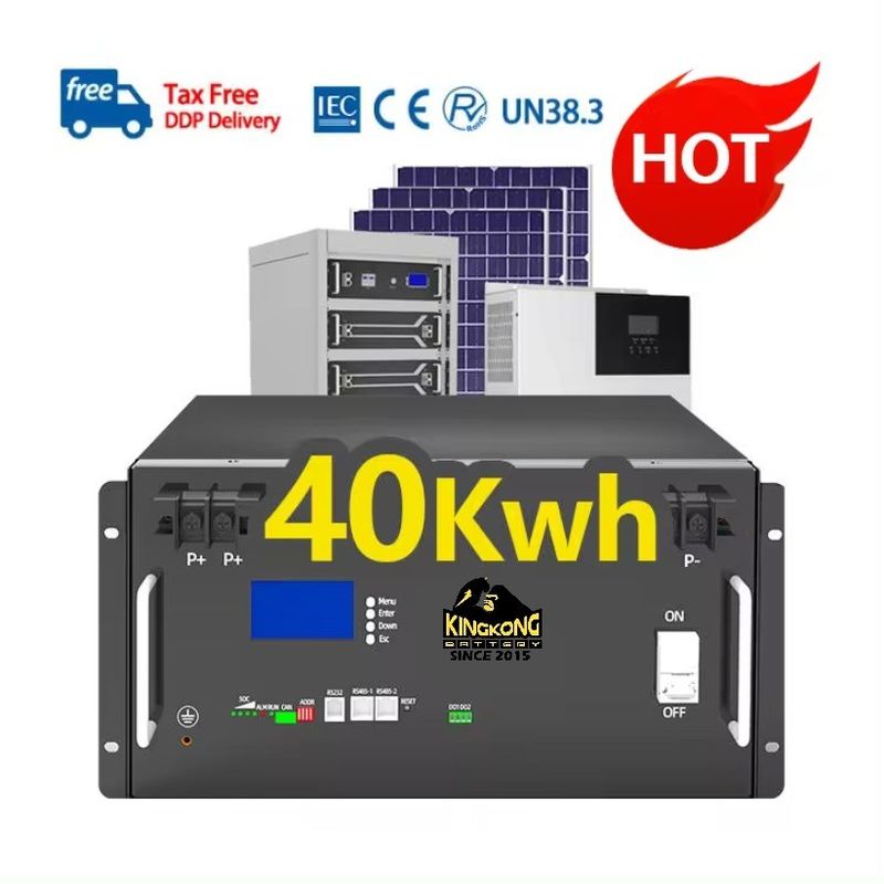 200ah 리?? 배터리 BMS 태양광 발전 시스템 51.2V 재충전 가능한 프리즘 셀