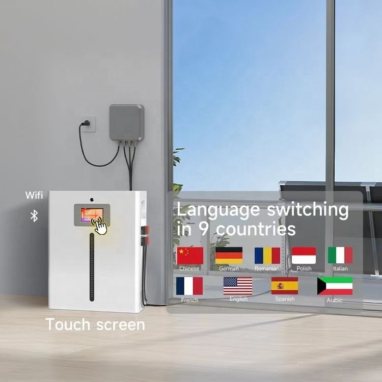 맞춤형 태양광 LFP 배터리 48V 볼트 100Ah 200Ah 300Ah Lifepo4 10Kwh 15Kwh 5Kw 배터리 리?? 배터리 팩 휠 케이스