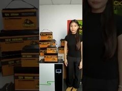 잠수함용 12V 48V 120Ah 150Ah 170Ah 200Ah 300Ah LiFePO4 리?? 이온 배터리 팩