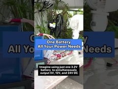 하나의 3.2V 배터리 전력 5V/12V/24V DC & 110V/220V AC. 내장 300W 인버터 모든 장치를 처리