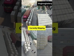 홈 에너지 저장 세계적 공급 품질 보장