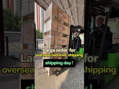 광저우에서 우리의 에이전트로 보내진 태양전지 에너지 저장 시스템