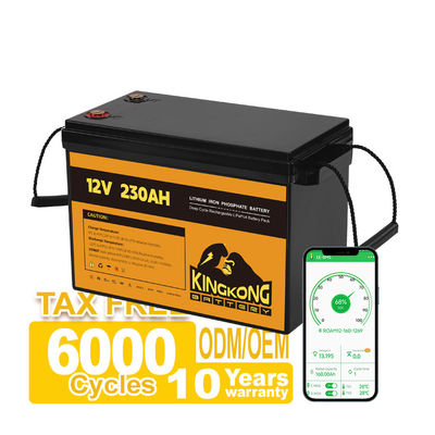 전력 도구 OEM ODM 12.8V 100ah 200ah 300ah 리?? 배터리 팩 12V APP 제어