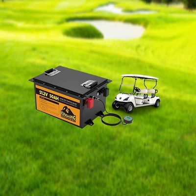 51.2V 105Ah 골프 카트 배터리 자동차 라이프포4 재충전 패크 OEM/ODM 서비스